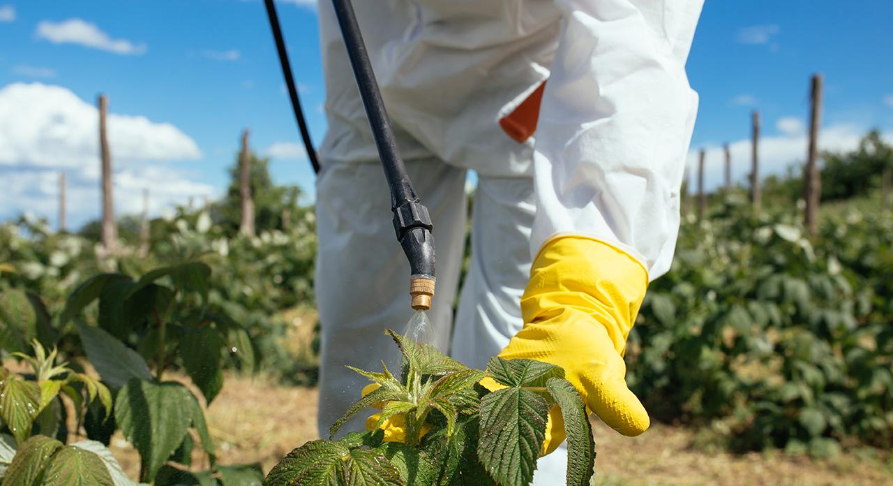 Tratamientos fitosanitarios