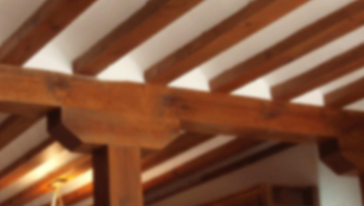 Diagnóstico de la madera