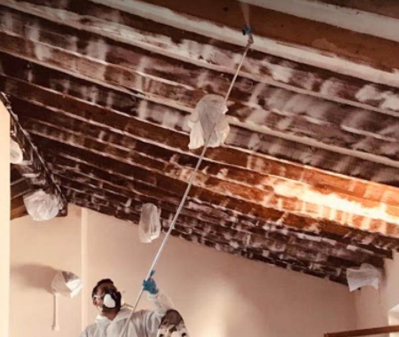 Illes Control performing a treatment against termites by spraying