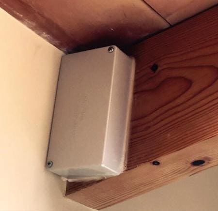 Termite trap placed in the rafters